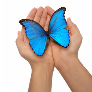 MRKH butterfly in hands